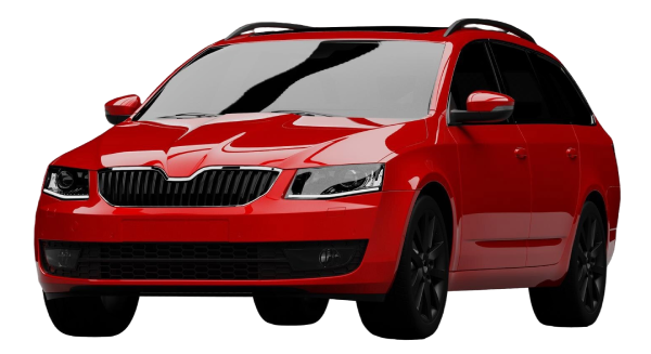 Professional Car Service